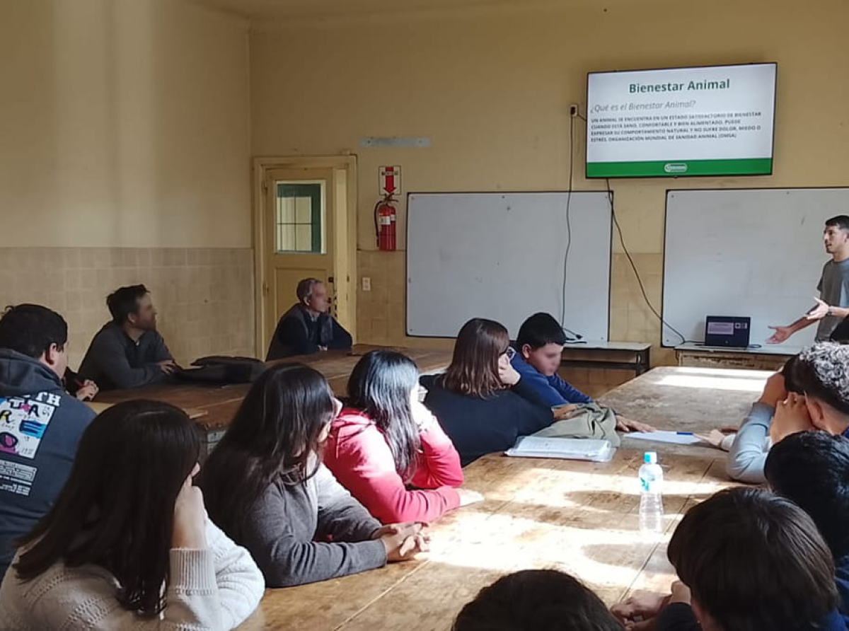 Mastellone Hnos. lanza un programa sobre bienestar animal y huella de carbono para estudiantes del agro.